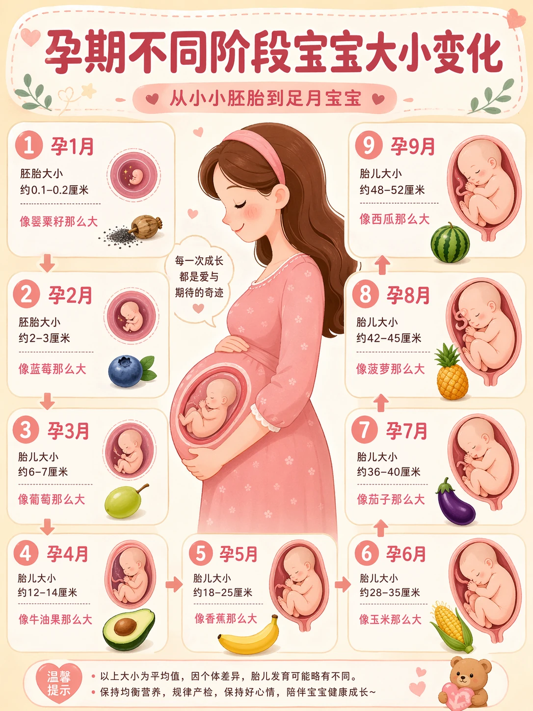 Cute pregnancy infographic showing baby size changes through nine months with fruit references